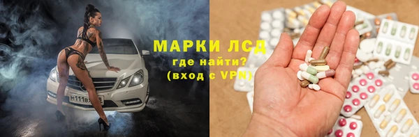 мяу мяу мука Аркадак
