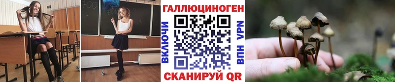 ОМГ ОМГ как зайти Барабинск Галлюциногенные грибы Psilocybe